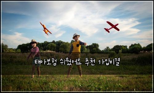 태아보험 쉬웠어요  추천 가입비결
