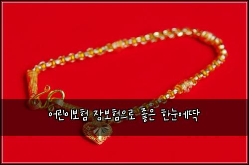 어린이보험 장보험으로 좋은 한눈에딱
