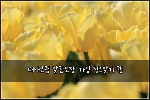 νμ보ν μ찬보μ₯ κ°μ
μ 보μκΈ° ν