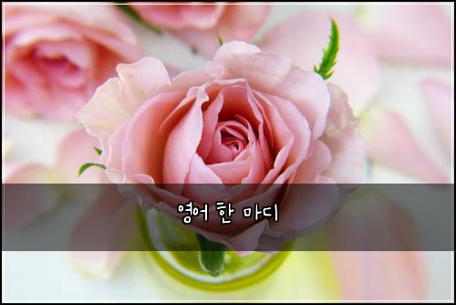 ์์ด ํ ๋ง๋