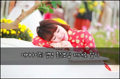 에이아이쥐 생명 종신보험 제대로 알기