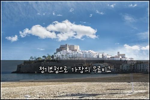 μ 기보νμΌλ‘ κ°μ₯μ 무λ£λΉκ΅