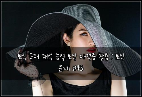 토익 독해 해석 능력 토익 자격증 활용 : 토익 문제 #43