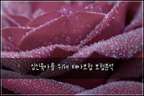 임신육아를 위해 태아보험 보험분석 