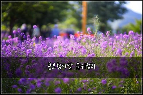 용보험사망 순위정리