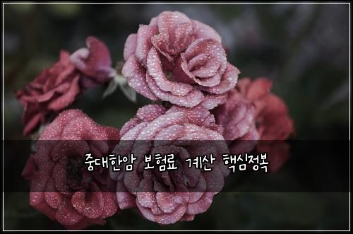 중대한암 보험료 계산 핵심정복