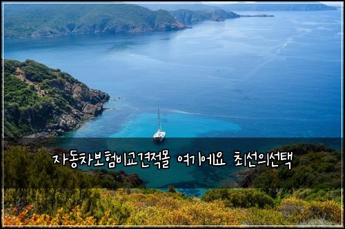 μλ차보νλΉκ΅κ²¬μ λͺ° μ¬κΈ°μμ μ΅μ μμ ν
