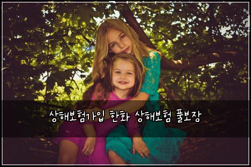 상해보험가입 한화 상해보험 풀보장