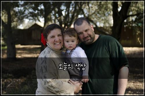 오늘의 색상