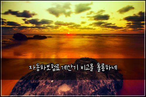 자동차보험료계산기 비교몰 훌룡하네