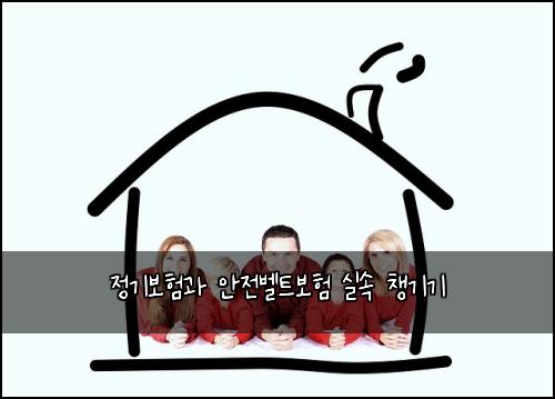 정기보험과 안전벨트보험 실속 챙기기