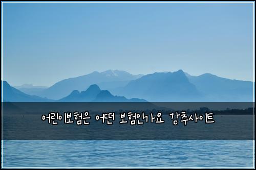 ์ด๋ฆฐ์ด๋ณดํ์ ์ด๋ค ๋ณดํ์ธ๊ฐ์ ๊ฐ์ถ์ฌ์ดํธ