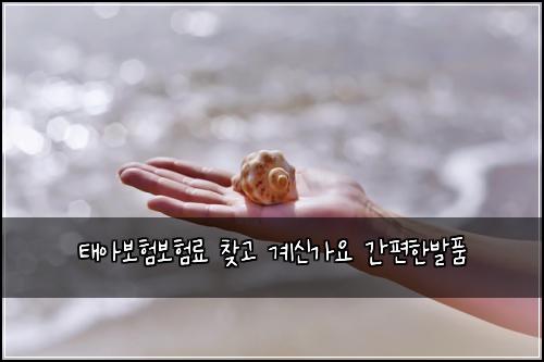 태아보험보험료 찾고 계신가요 간편한발품