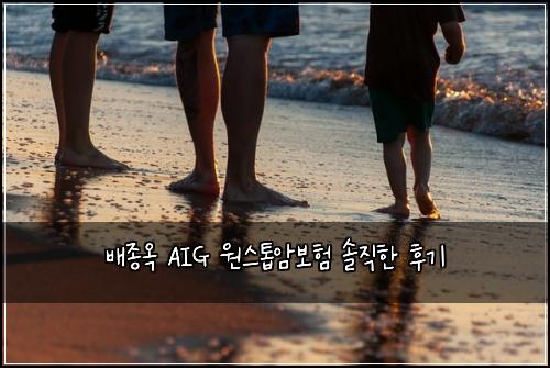 배종옥 AIG 원스톱암보험 솔직한 후기
