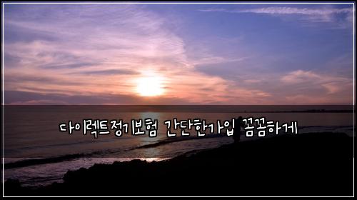 다이렉트정기보험 간단한가입  꼼꼼하게
