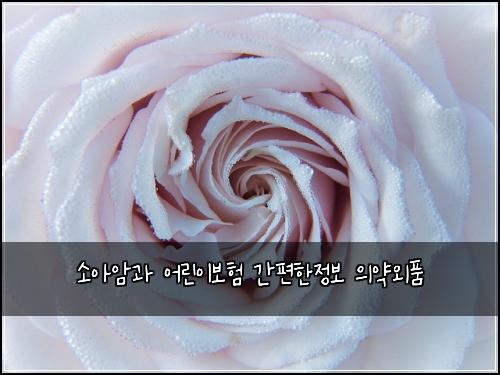 소아암과 어린이보험 간편한정보  의약외품