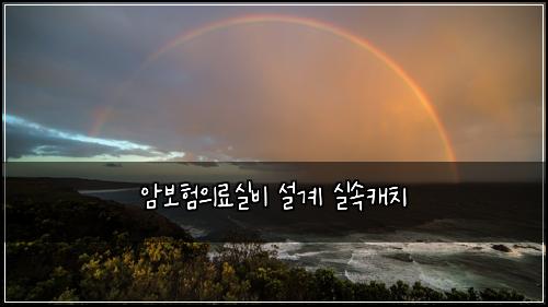 암보험의료실비 설계 실속캐치