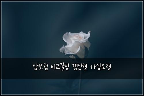 암보험 비교꿀팁  갱신형 가입요령