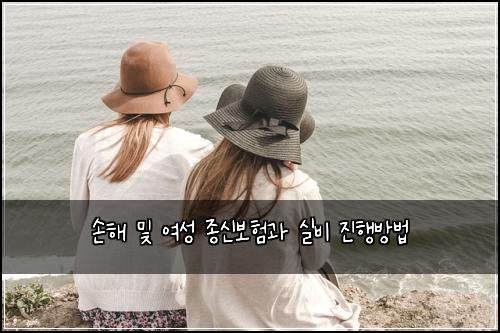 손해 및 여성 종신보험과 실비 진행방법