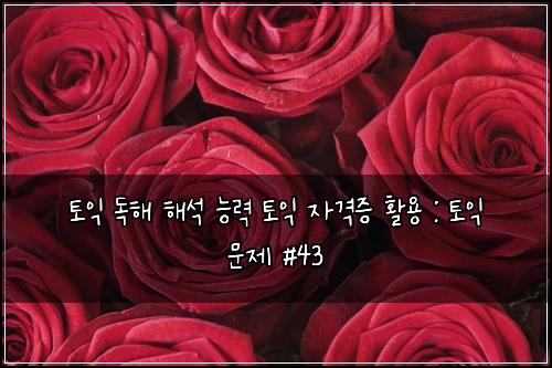 토익 독해 해석 능력 토익 자격증 활용 : 토익 문제 #43