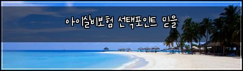 ์์ด์ค๋น๋ณดํ ์ ํํฌ์ธํธ ๋ฏฟ์