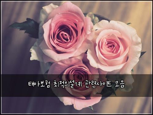 태아보험 최적의설계  관련사이트 모음