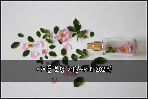 아이들 보험 제일싸게  2021년
