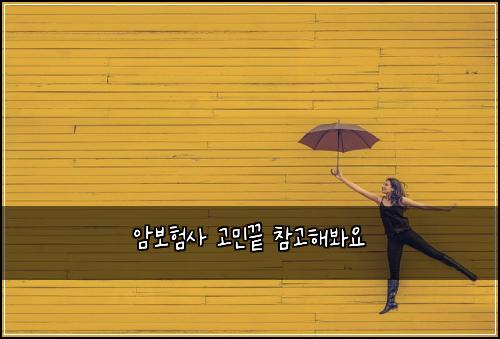 암보험사 고민끝 참고해봐요