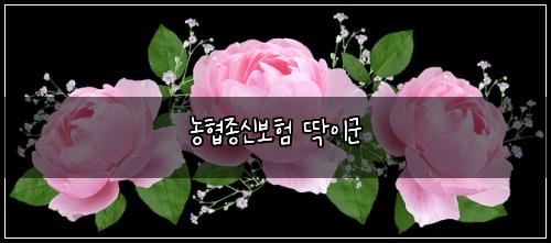 농협종신보험 딱이군 