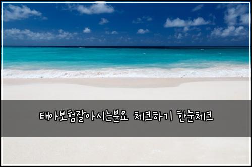 ํ์๋ณดํ์์์๋๋ถ์ ์ฒดํฌํ๊ธฐ ํ๋์ฒดํฌ