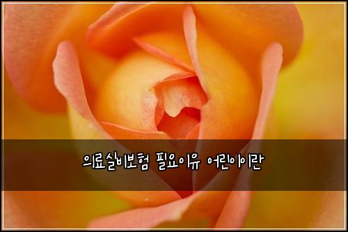 ์๋ฃ์ค๋น๋ณดํ ํ์์ด์ ์ด๋ฆฐ์ด์ด๋