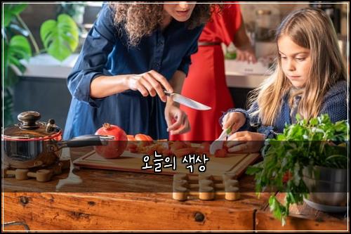 오늘의 색상