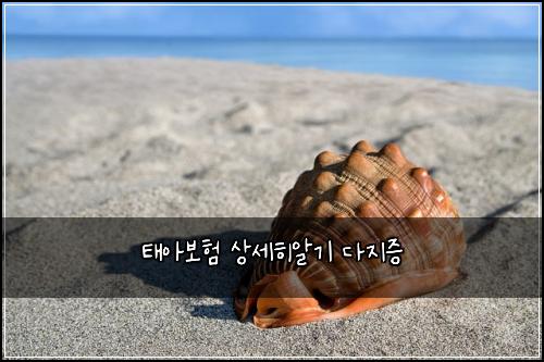 태아보험 상세히알기  다지증