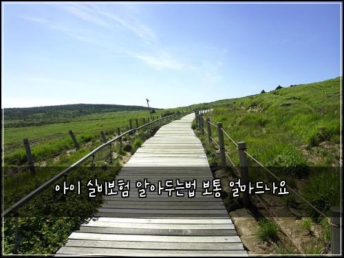 아이 실비보험 알아두는법  보통 얼마드나요