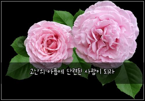 ๊ณ ๋์ ์ํ์ ๋จ๋ จ๋ ์ฌ๋์ด ๋๋ผ