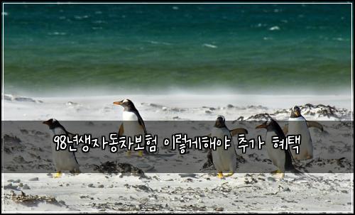 98년생자동차보험 이렇게해야  추가 혜택