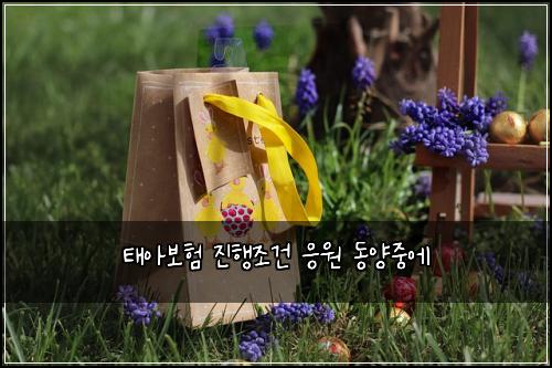 ํ์๋ณดํ ์งํ์กฐ๊ฑด ์์ ๋์์ค์