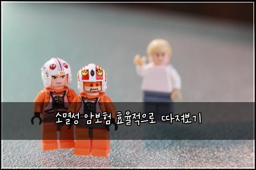 소멸성 암보험 효율적으로 따져보기