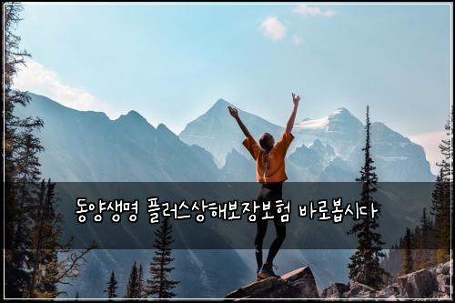 동양생명 플러스상해보장보험 바로봅시다 