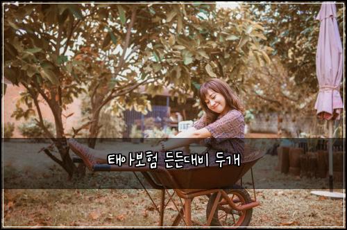 태아보험 든든대비  두개