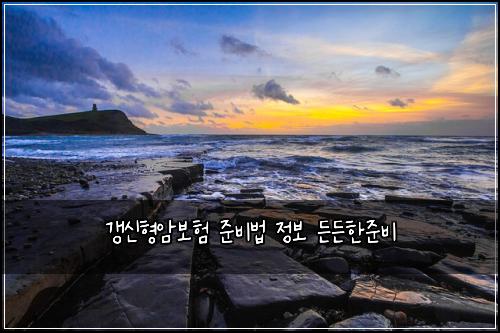 ๊ฐฑ์ ํ์๋ณดํ ์ค๋น๋ฒ ์ ๋ณด ๋ ๋ ํ์ค๋น