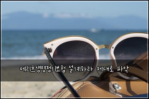 메리츠생명정기보험 설계하라  제대로 파악