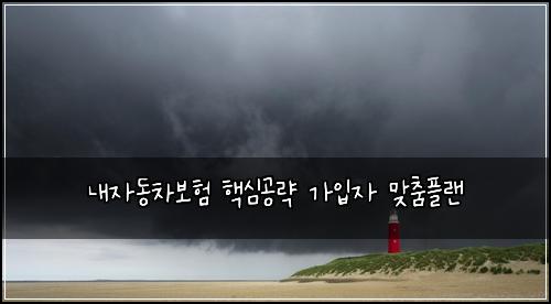 λ΄μλ차보ν ν΅μ¬κ³΅λ΅ κ°μ
μ λ§μΆ€νλ
