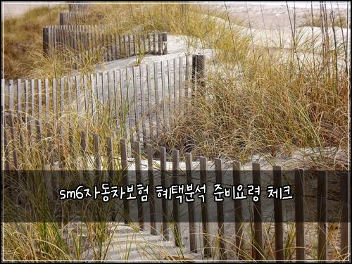 sm6μλ차보ν ννλΆμ μ€λΉμλ Ή 체ν¬