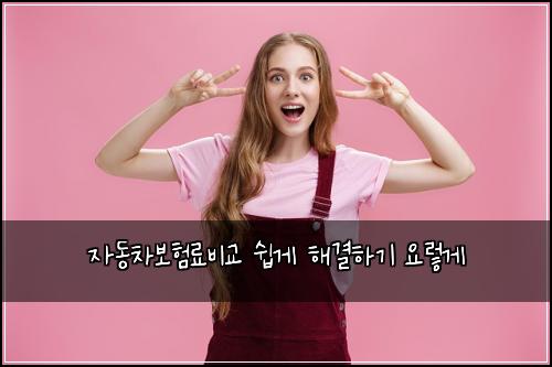 μλ차보νλ£λΉκ΅ μ½κ² ν΄κ²°νκΈ° μλ κ²