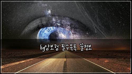 lig암보험 필수목록  꿀정보
