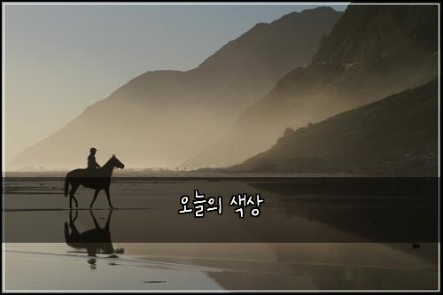 오늘의 색상
