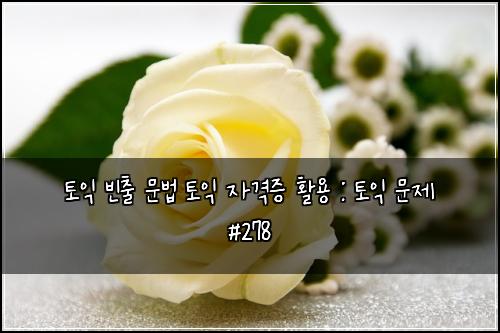 토익 빈출 문법 토익 자격증 활용 : 토익 문제 #278
