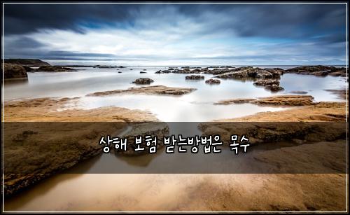 상해 보험 받는방법은  목수