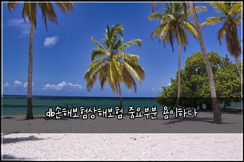 db์ํด๋ณดํ์ํด๋ณดํ ์ค์๋ถ๋ถ ์ฉ์ดํ๋ค